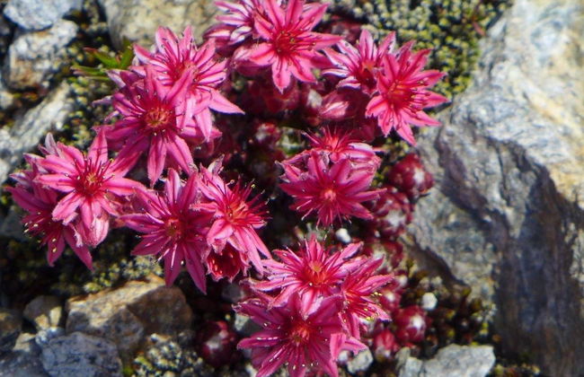 Amici 1. OG West - Foto 49