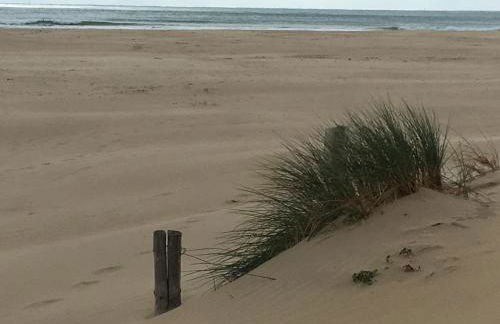 Un studio indépendant avec jardin - Foto 17