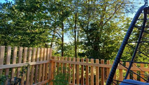 Bayerwaldtiny - Foto 3, Garden view