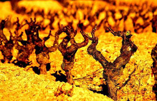 Areta Etxea - Photo 44