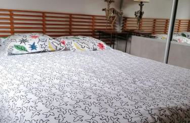 maison bois - Photo 13