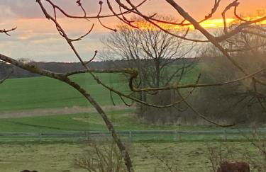 Neu möbliertes 1 - Zimmerapartment mitten in der Natur - Foto 23