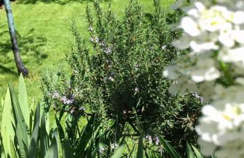 Villa "Corte de' Baldi" - Foto 60