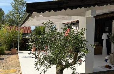 Siedlisko Blanki - Foto 27