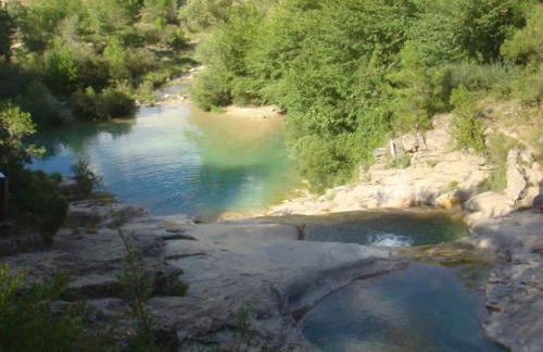 Cal Remolins - Photo 17