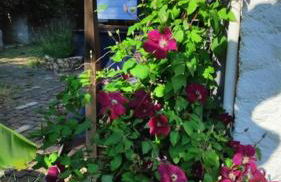 Villa sous le Tilleul - Photo 40