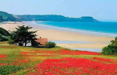 Grand loft de 60m2 très lumineux très belle vue sur mer - Foto 37