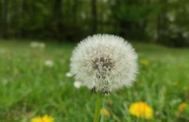 La casa di Maca - Foto 25