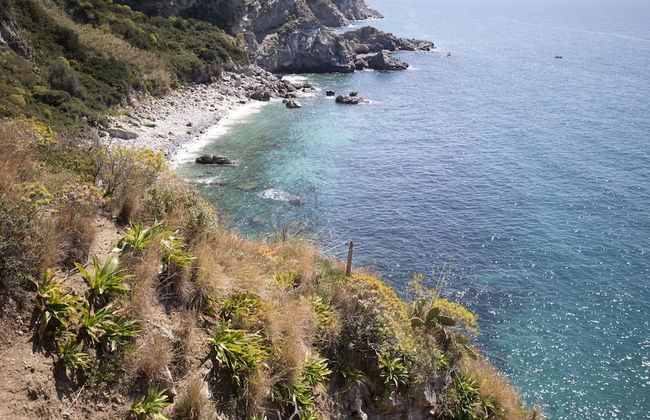 Ville Pini e Aurelia - Foto 70