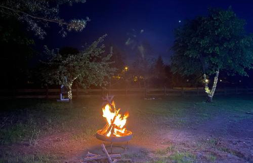 Wypoczynkowo Domki Letniskowe - Foto 44