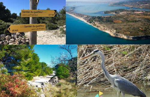 Résidence Leucate Plage « Le Balcon » - Foto 14