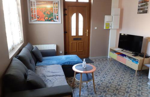 les coquelicots en baie de Somme - Foto 10