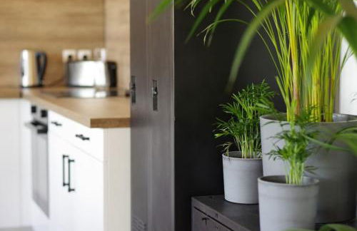 Loft au cœur des volcans d'auvergne - Foto 14