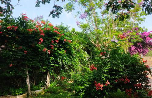 Precioso chalet próximo a Sevilla con jardín y piscina privada 8 personas Wifi gratis 2 salones 4 dormitorios 2 baños - Foto 56