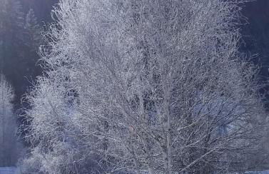 Apartments Stoll - Photo 25