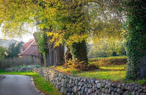 Ferienwohnung am Kunterbunthof - Foto 8