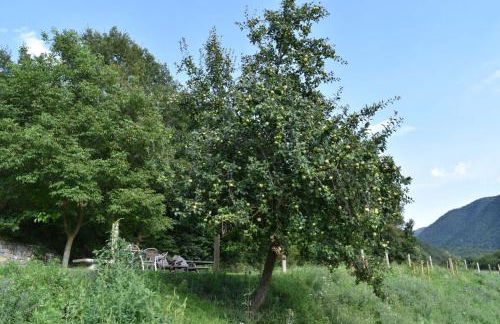 Apartamentos Viña Olivan - Photo 68