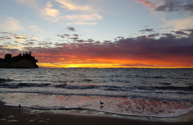 Whangaparaoa Lodge Motel - Foto 69