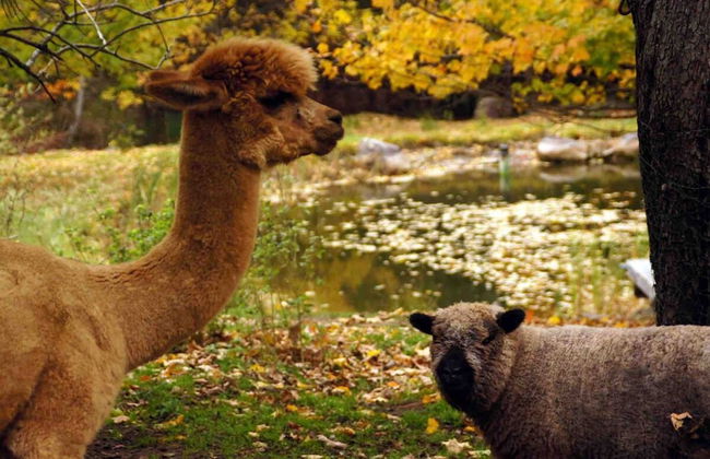 Relaxing Nature Retreat Perfect for Large Groups - Foto 8