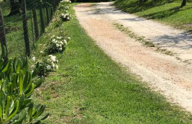 AGRITURISMO IL CARDO - Foto 28