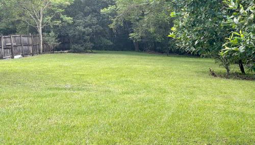 Room 2 - Cozy Queen, Backyard View (Private Bath) - Foto 4, Other