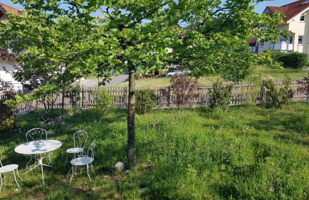 Historisches Fachwerkhaus "Hoher Hirschen" mit romantischem Hof und Garten - Charmantes Studio und grosses, museales Apartment - Foto 23