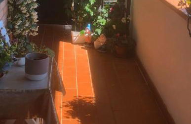 Chianti Roses Monteriggioni - Foto 15