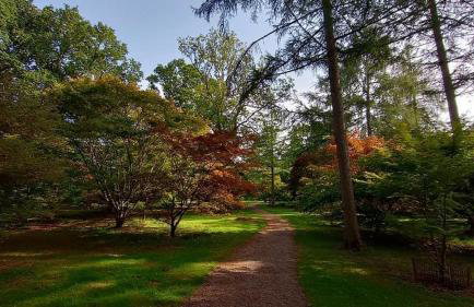 Stunning modern apartment in the Cotswolds sleeps six - Foto 70