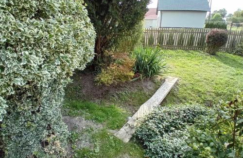 Agroturystyka Zielony Zakątek - Foto 47