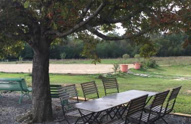 Le Mas Charlemagne - Foto 28