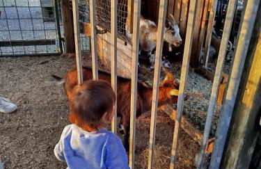 Bed and Bike Rheine - Foto 51