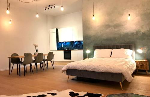 Designer open plan apartment Friedrichshain - Foto 14