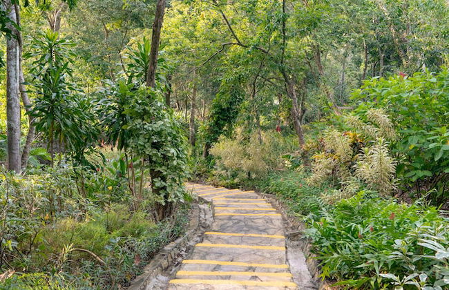 Hacienda La Huerta - Photo 23