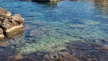 Appartement Cala Blanca - Foto 5