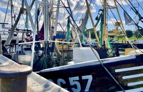 Tideland 2 - Foto 20