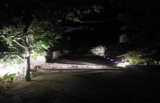 Apartments Paula - Photo 63