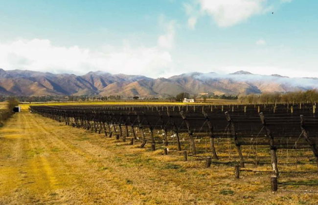 Excursão pelas vinícolas do Valle de Calamuchita - Photo 2