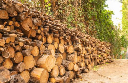 Villa Can Duarry - Barcelona Country House 1 - Foto 64