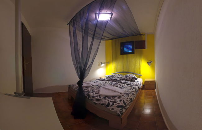 Victorious VIScovery Green - Foto 5