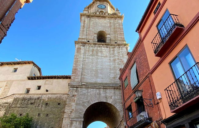 Tour privado por Toro - Foto 3