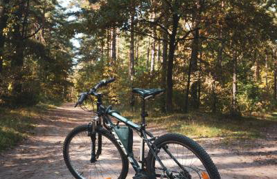 Leśna 21 Dom Południe przy PUSZCZA BIAŁOWIESKA - Foto 36