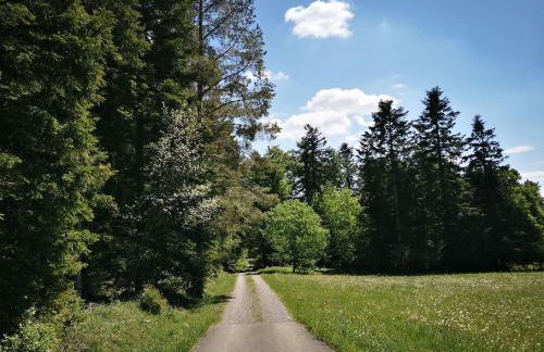 Ferienhaus Nordschwarzwald - Foto 15
