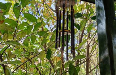 The House in the Mulberries Trees - Photo 31