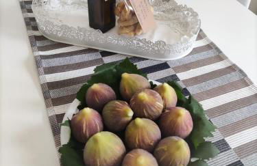 V&V Tourist Lease - Foto 17