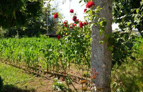 Abrigo do Moleiro - Foto 45