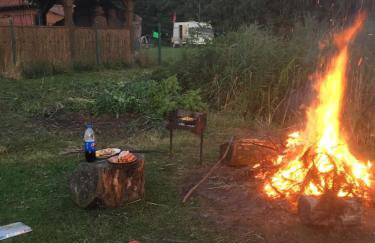 Agroturystyka Pod Podkową - Photo 50