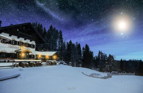 Freihaus Brenner - Foto 7