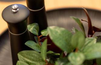 Heimbi Home No 2 I 4-5 Personen I Nähe EuropaPark I Parkplatz und E Ladestation - Foto 25