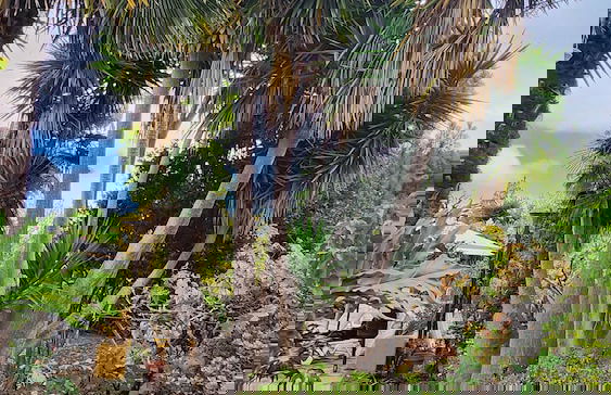 Agriturismo Oasis Hill - Foto 73