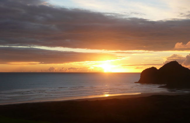 Bethells Beach Cottages - Foto 48
